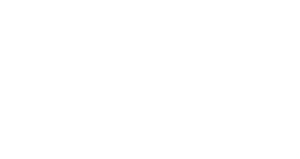 AMD RYZEN AI PRO 300